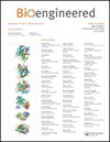 Bioengineered杂志封面