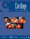 Cartilage杂志封面