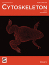 Cytoskeleton杂志封面