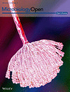 MicrobiologyOpen杂志封面