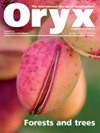 ORYX杂志封面