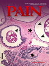 PAIN杂志封面