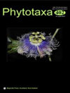 Phytotaxa杂志封面