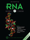 RNA杂志封面