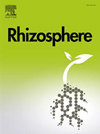 Rhizosphere杂志封面