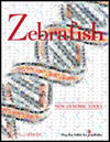 Zebrafish杂志封面