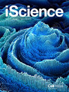iScience封面