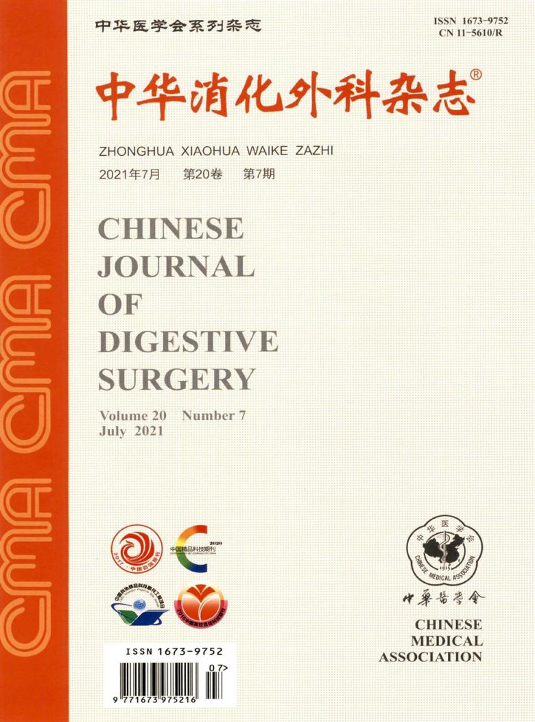 中华消化外科杂志封面