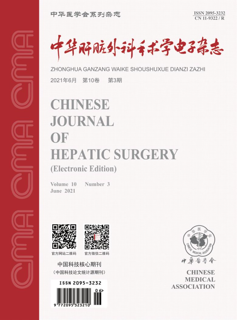中华肝脏外科手术学电子封面