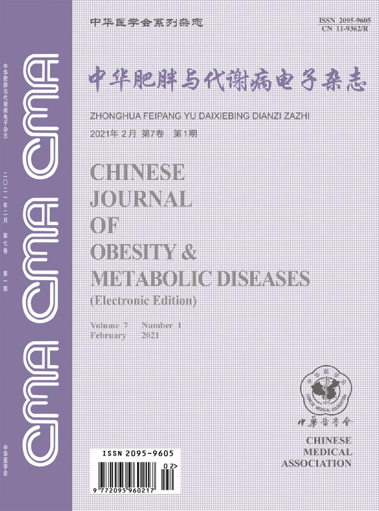 中华肥胖与代谢病电子杂志封面