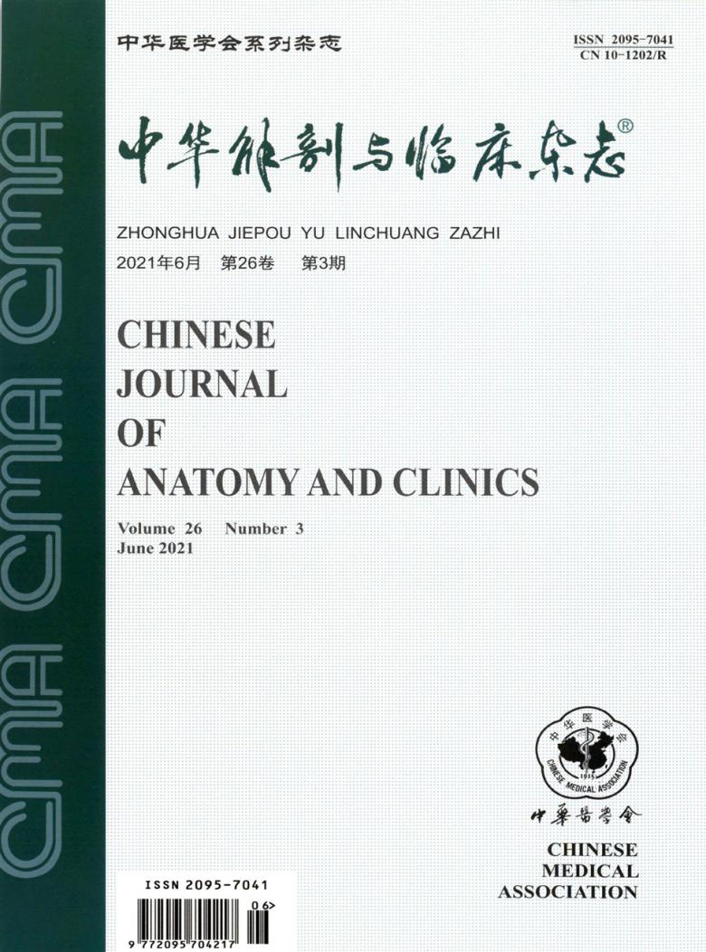 中华解剖与临床杂志封面