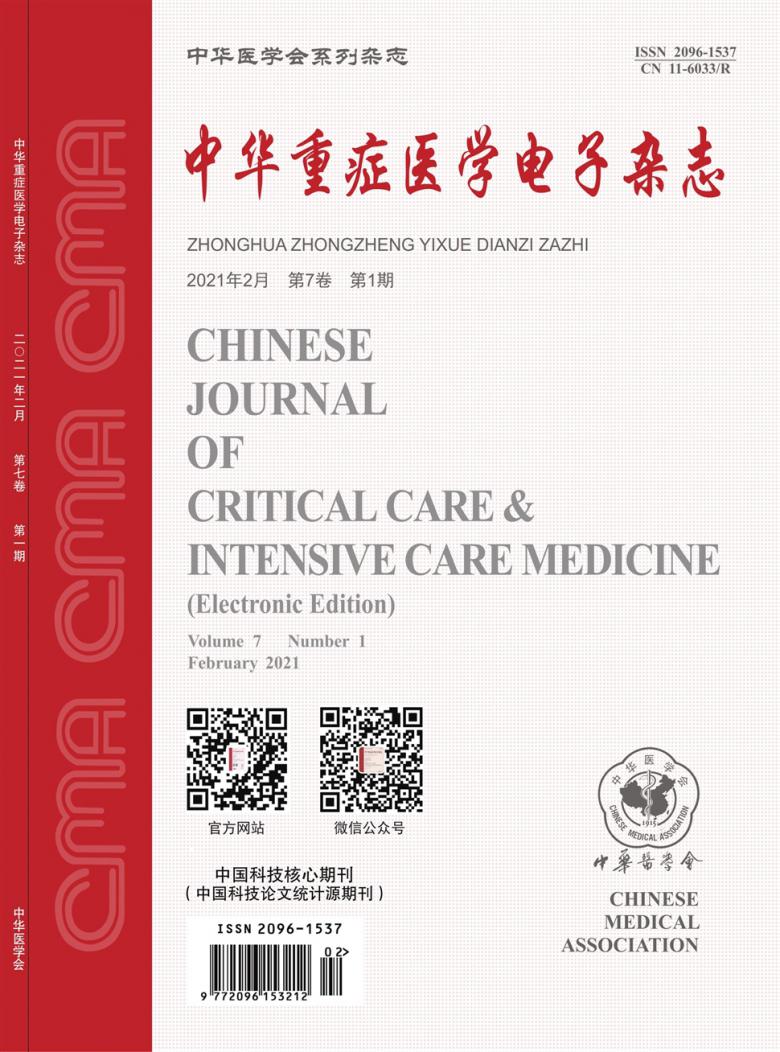 中华重症医学电子杂志封面