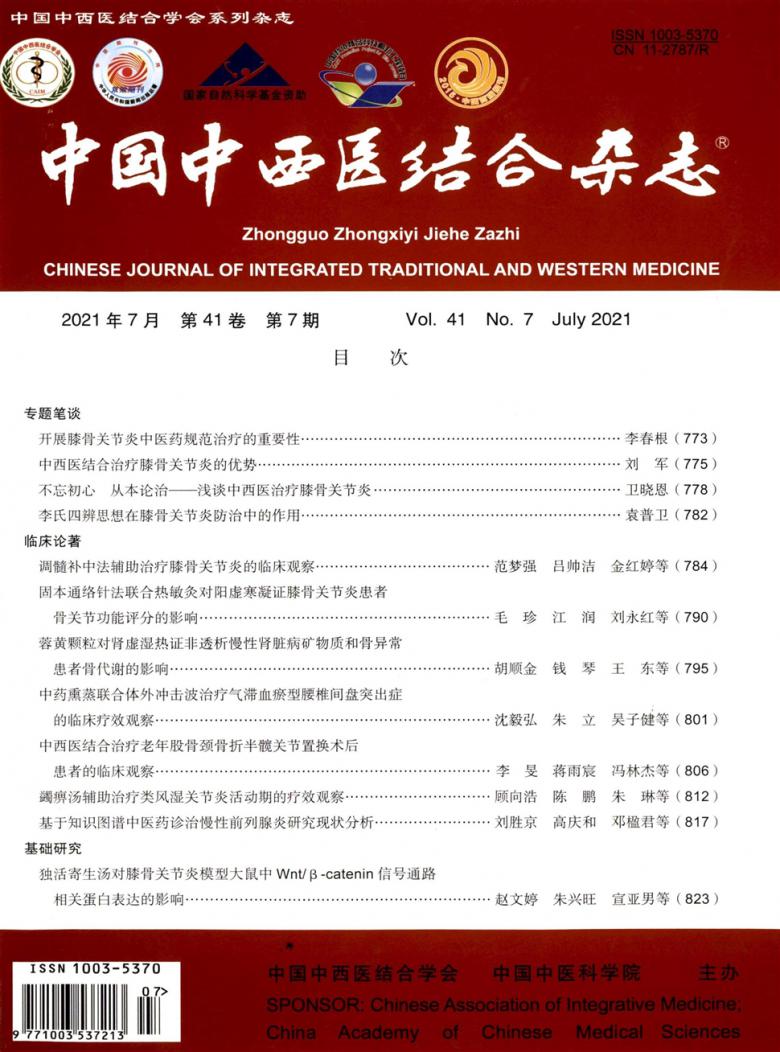 中国中西医结合杂志封面