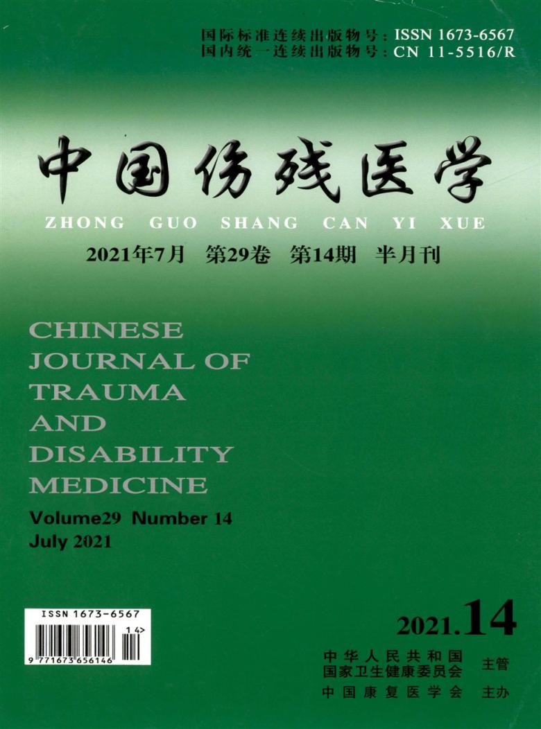 中国伤残医学杂志封面