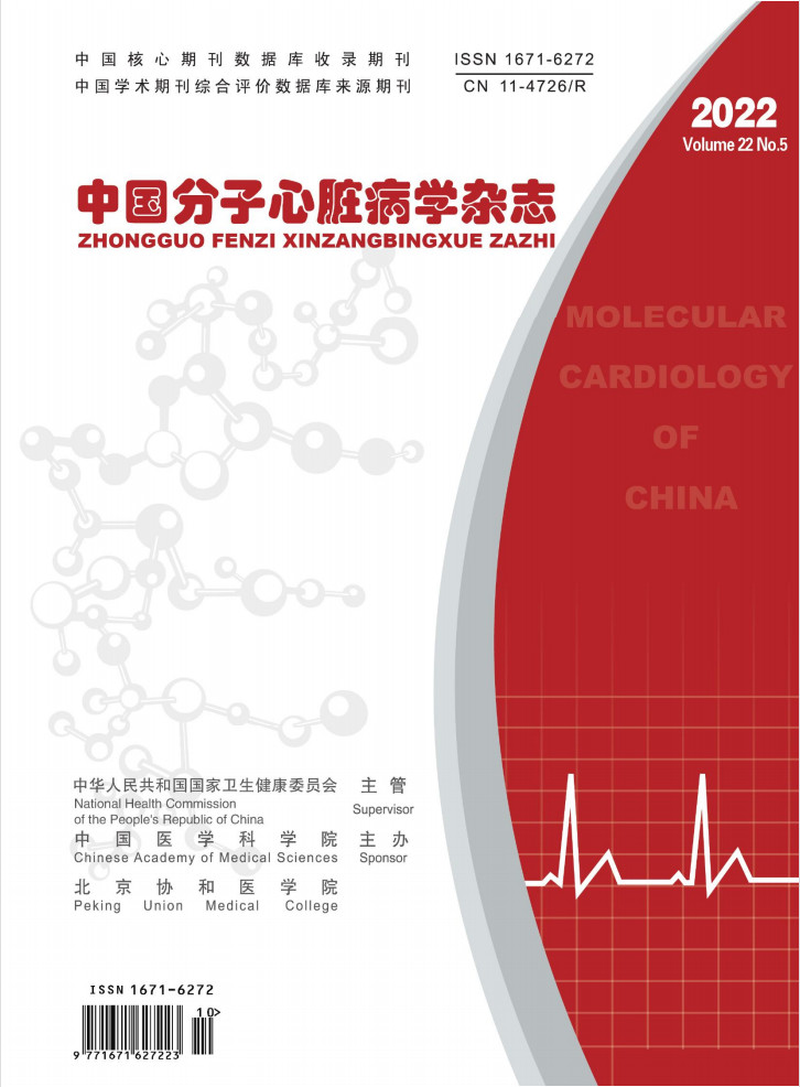 中国分子心脏病学杂志封面
