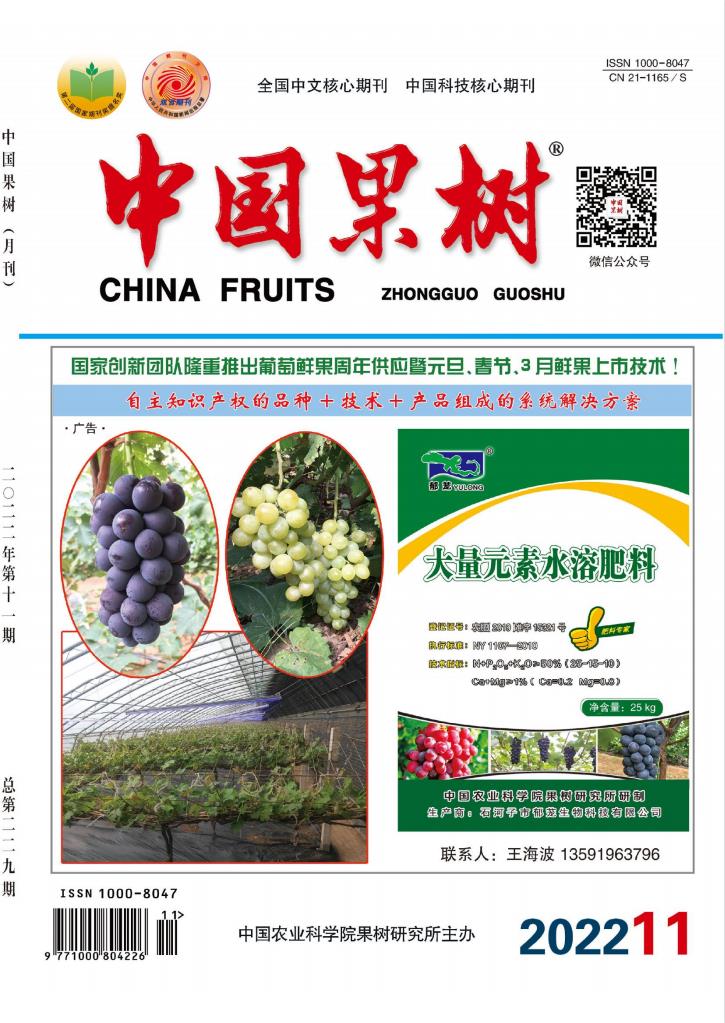 中国果树杂志封面