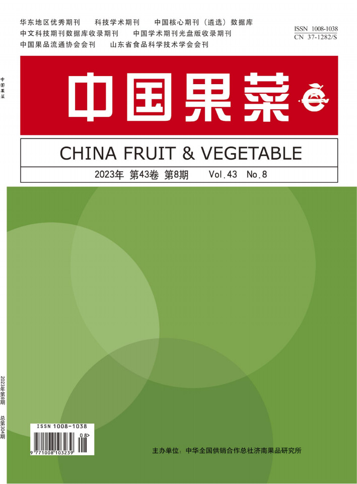 中国果菜杂志封面