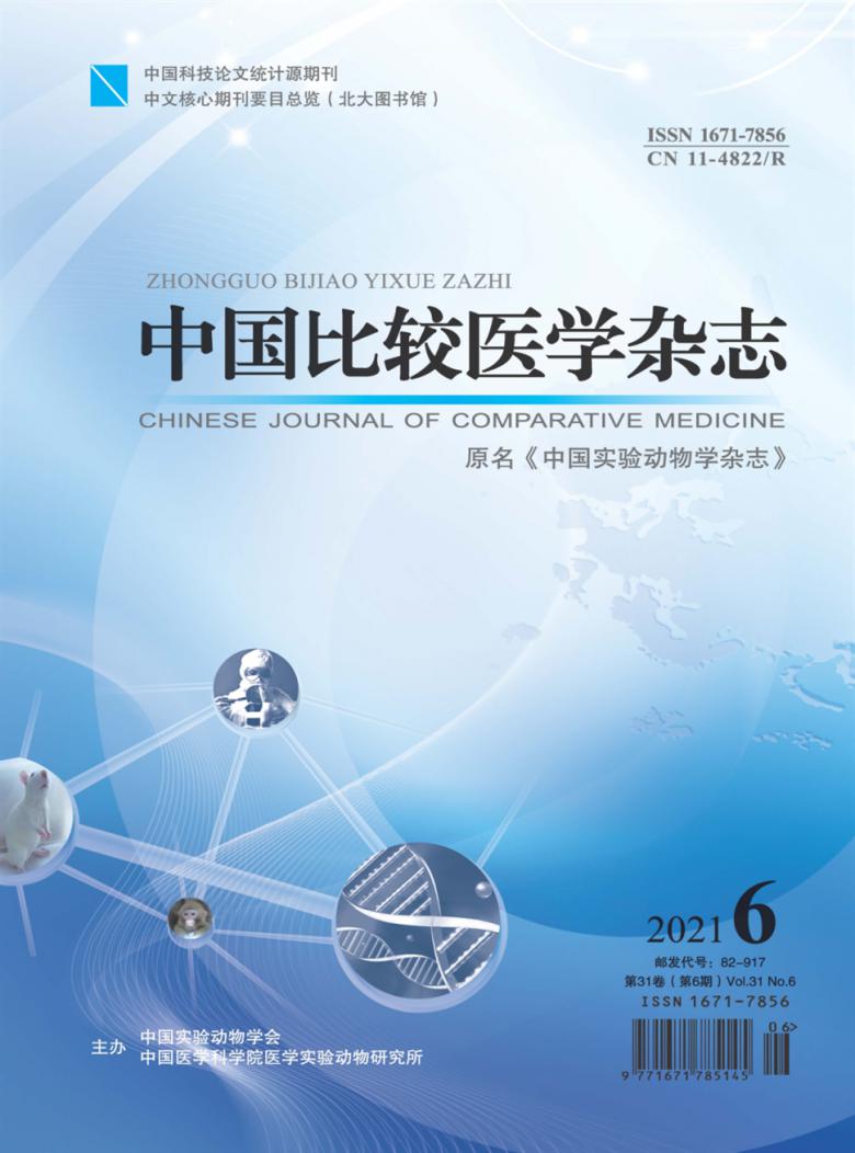 中国比较医学杂志封面