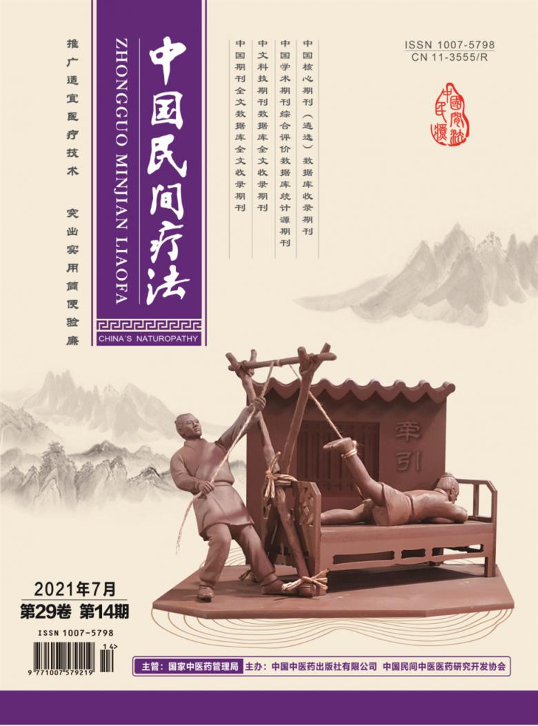 中国民间疗法杂志封面