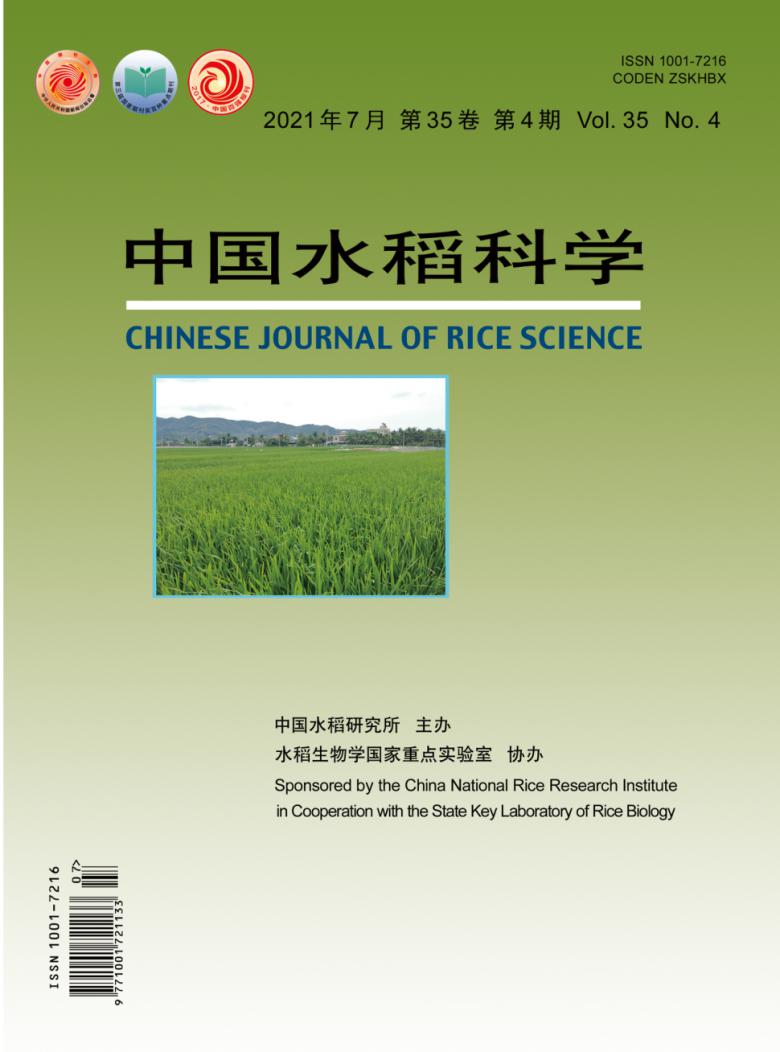 中国水稻科学杂志封面
