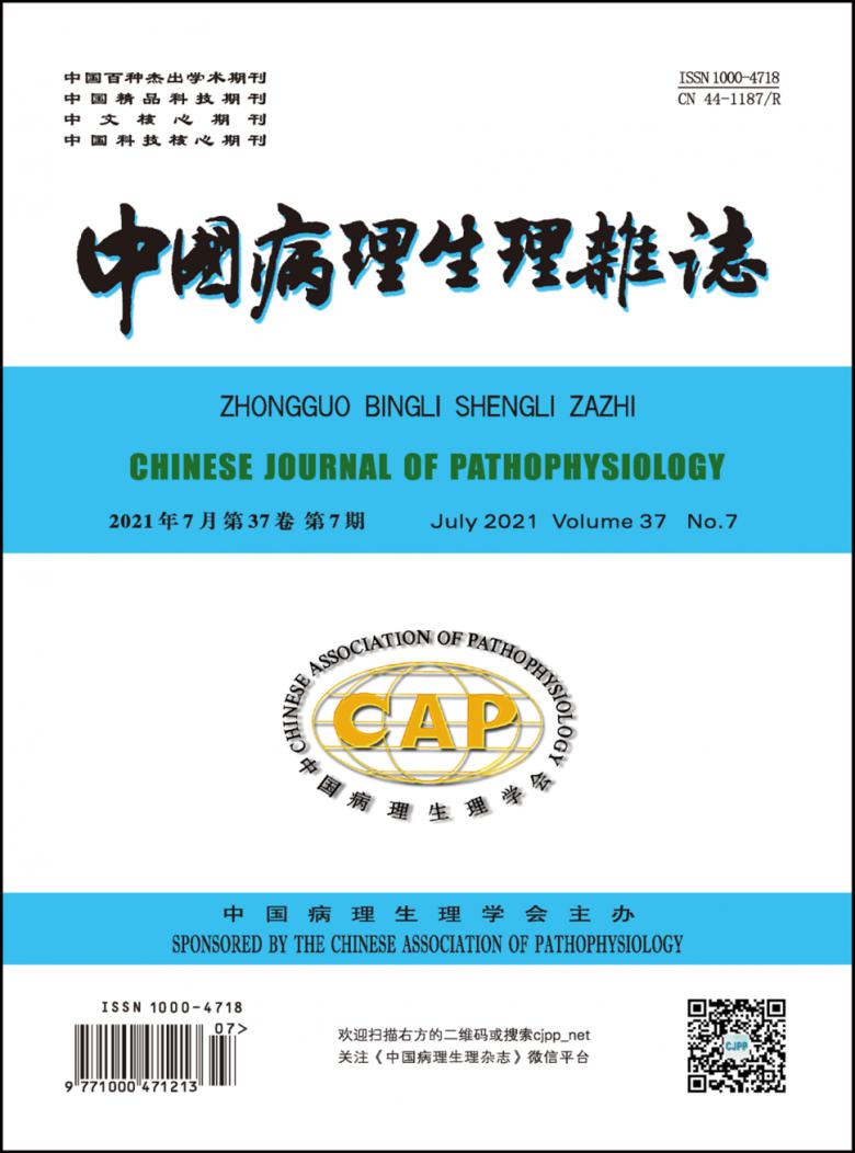 中国病理生理杂志封面