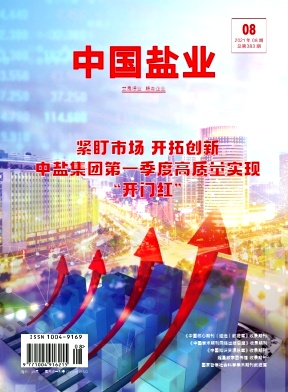 中国盐业杂志封面