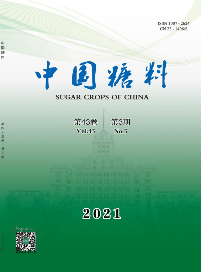 中国糖料封面