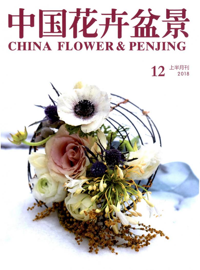 中国花卉盆景封面