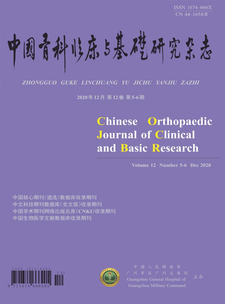 中国骨科临床与基础研究杂志封面