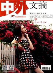 中外文摘杂志封面