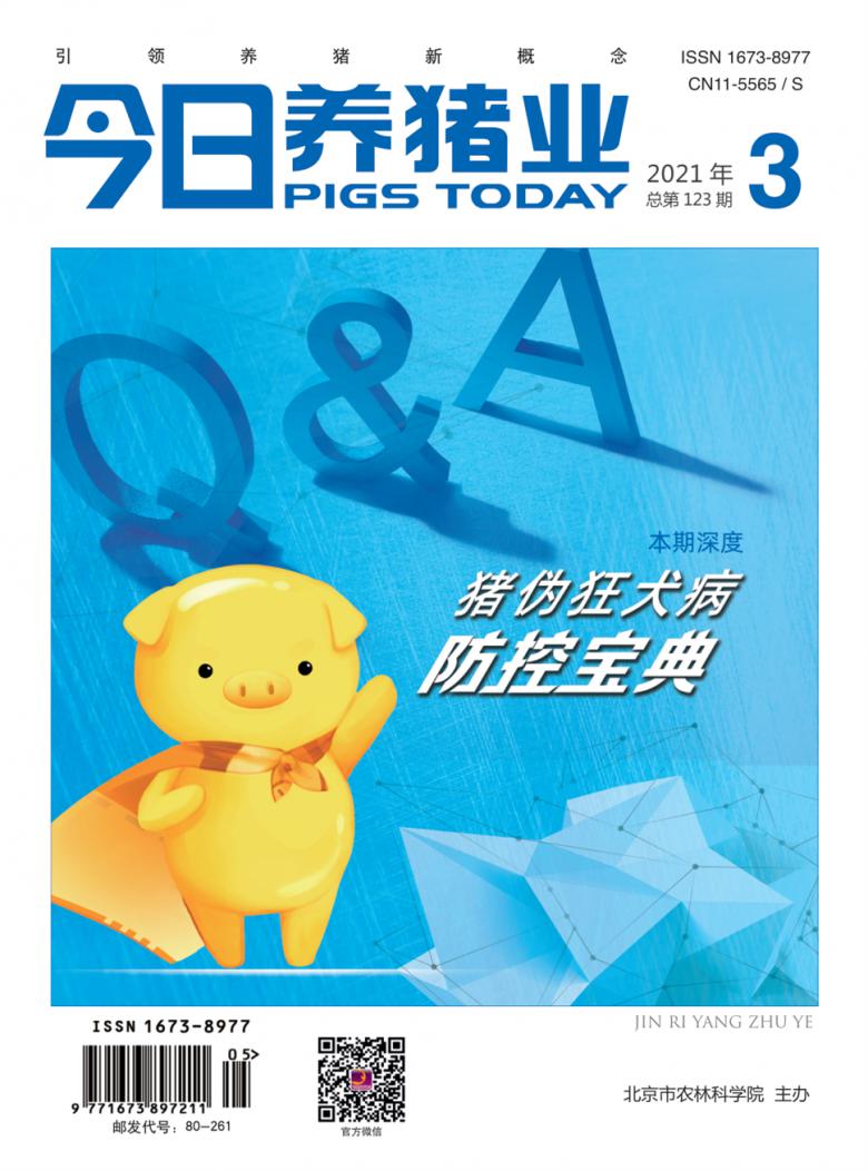 今日养猪业杂志封面