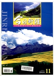 今日新疆杂志封面