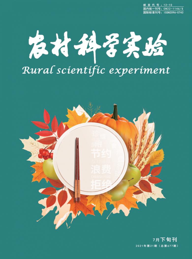 农村科学实验封面