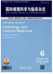国际病理科学与临床杂志封面