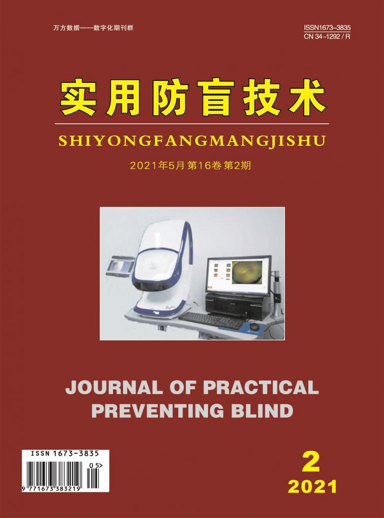 实用防盲技术杂志封面
