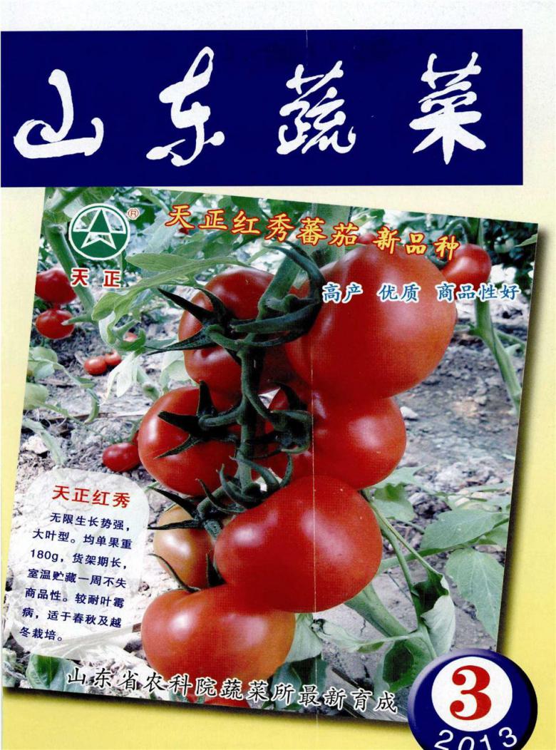 山东蔬菜杂志封面