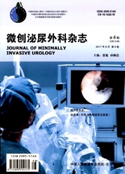 微创泌尿外科杂志封面