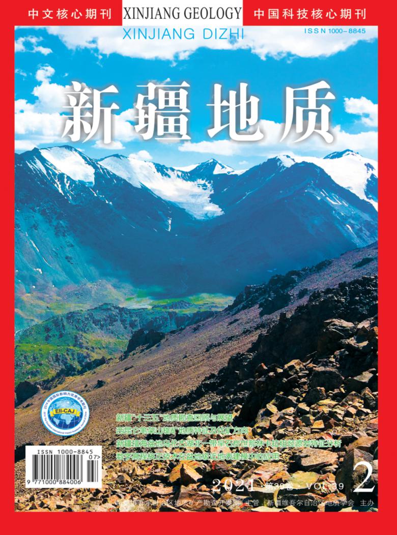 新疆地质封面