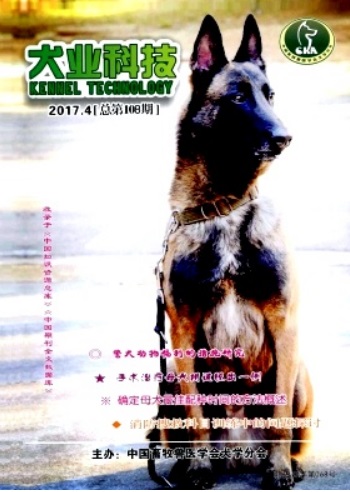 犬业科技杂志封面