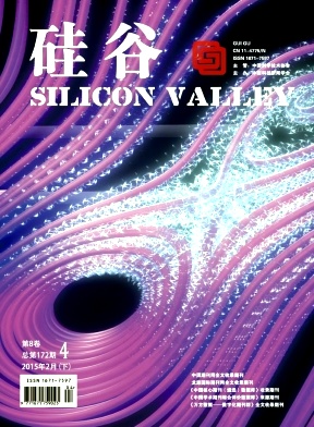 硅谷杂志封面