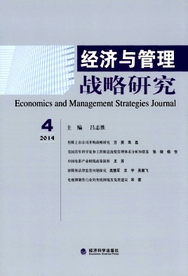 经济与管理战略研究封面