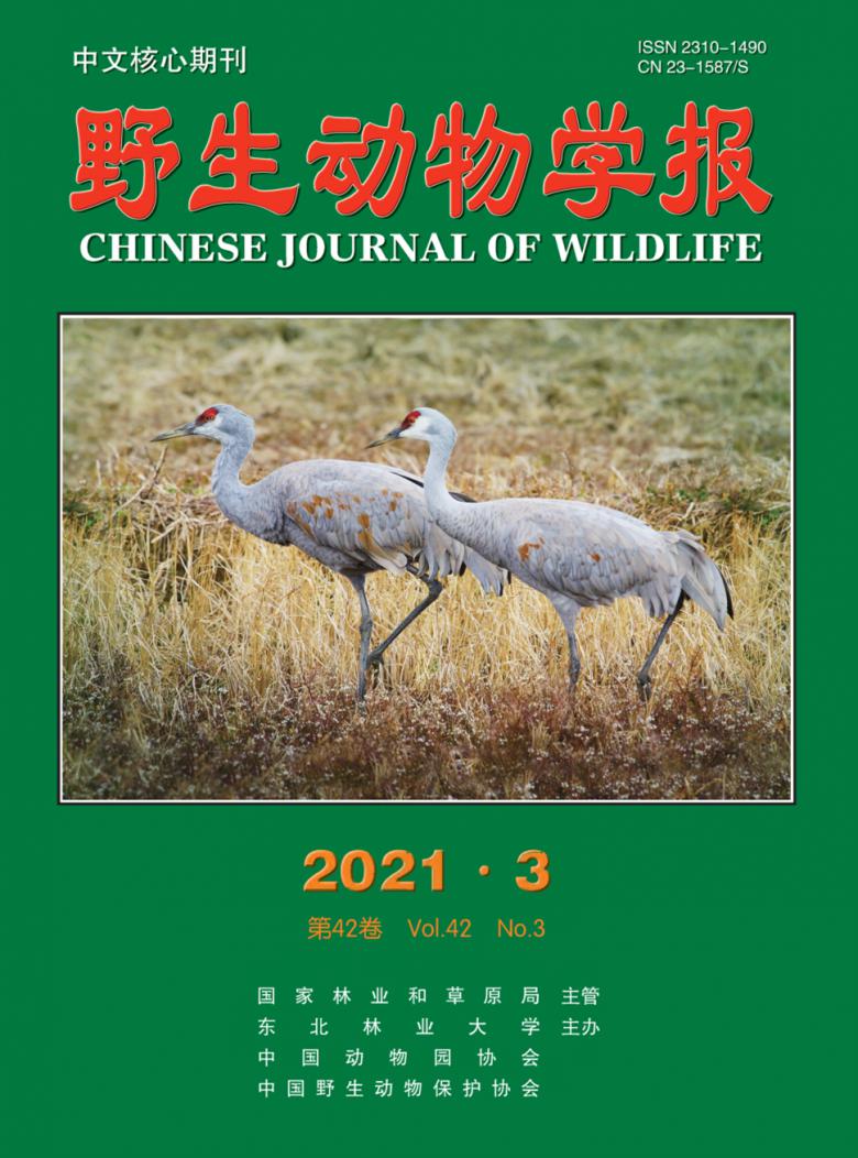 野生动物学报封面